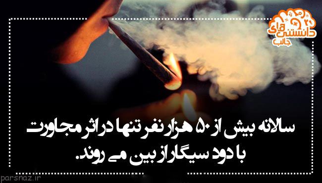 دانستنی های علمی تصویری برای بیشتر دانستن