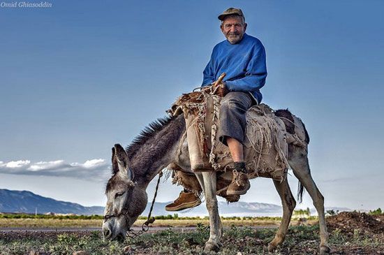 شمال تا جنوب ایران به روایت عکس