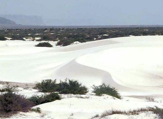 جزیره سوکوترا غریب ترین مکان روی زمین