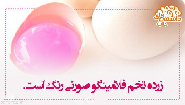 دانستنی های علمی تصویری برای بیشتر دانستن