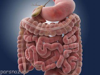 آپاندیس در بدن هیچ کاری انجام نمی دهد