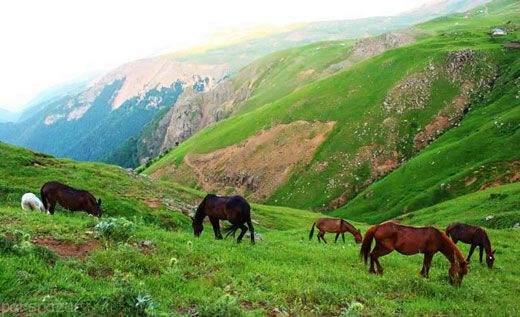 سفر به بهشت سوباتان در گیلان