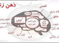 سوالاتی که خانم ها از آقایان می پرسند طنز