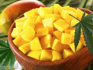 میوه انبه و خواص عالی آن را بشناسید