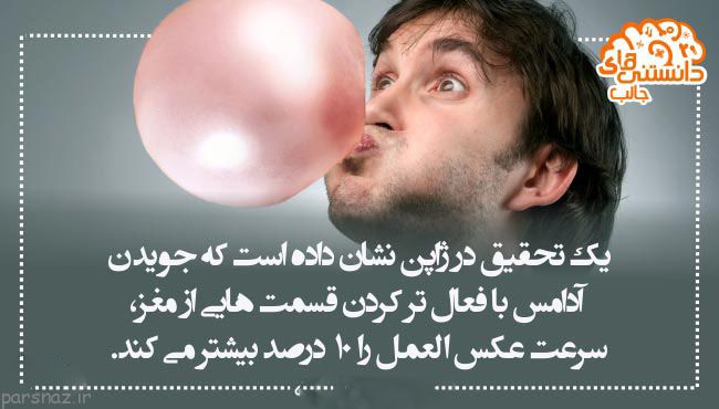 دانستنی های علمی تصویری برای بیشتر دانستن