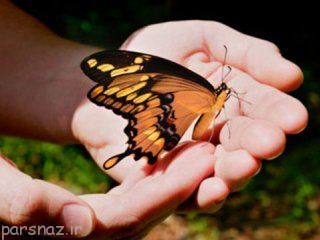 نکات کاربردی برای اینکه شادکام باشید
