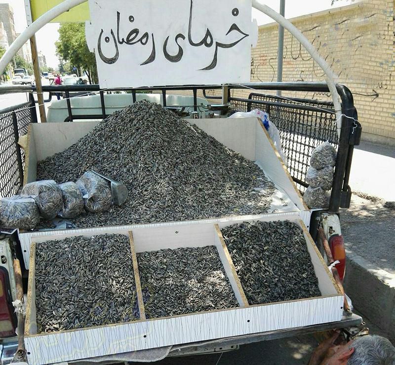 تصاویر سوژه و خنده دار از همه جای جهان سری جدید