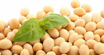 منیزیم در کدام ماده های غذایی وجود دارد؟