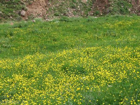 دره زیبای لیقوان در تبریز را ببینید