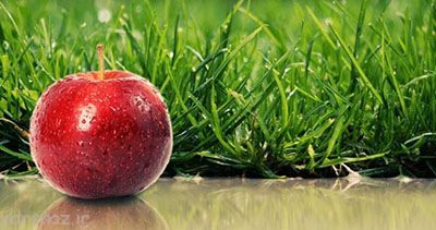 درباره سیب درمانی چه می دانید؟
