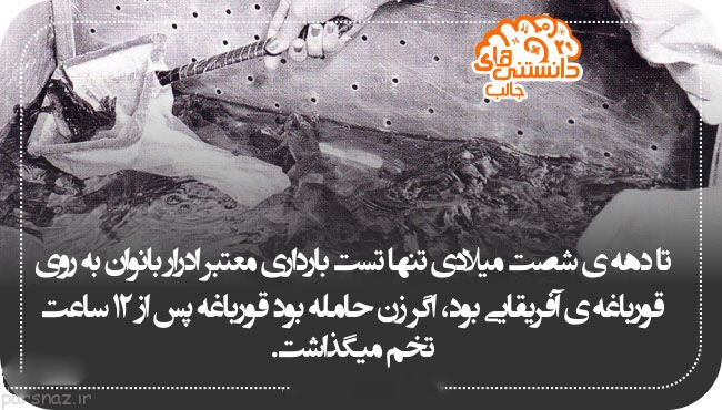 علمی و دانستنی های جالب به صورت تصویری (7)