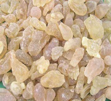 کندر  صمغ خوردنی تلخ پرخاصیت
