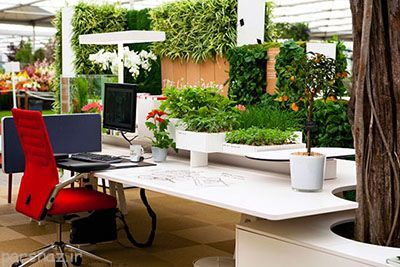 فضای محیط کار را شاداب کنید