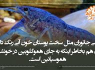 علمی و دانستنی های مفید و نکات مهم زندگی (6)