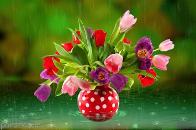 متن های خواندنی و جالب زندگی زیباست (پند آموز)