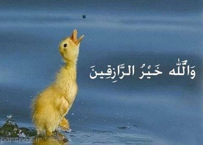 خداوند بر چه اساسی رزق و روزی می دهد؟