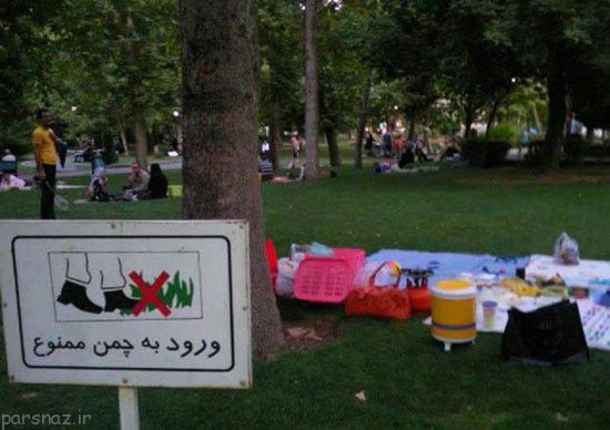 سوژه از عکسهای خنده دار و جالب از همه جا (104)