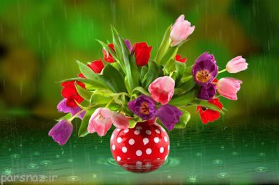 متن های خواندنی و جالب زندگی زیباست (پند آموز)