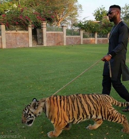 بچه پولدارهای دبی چه کارهایی می کنند؟