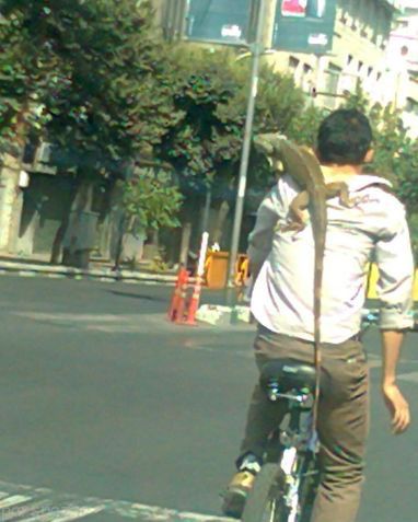 تصاویر خنده دار و جدید از سوژه های جهانی (105) تصاویر خنده دار و جدید از سوژه های جهانی (105)