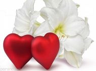 داستان عاشقانه و رمانتیک زیبا