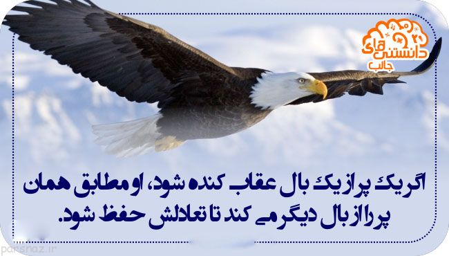 علمی و دانستنی های جالب به صورت تصویری (7)
