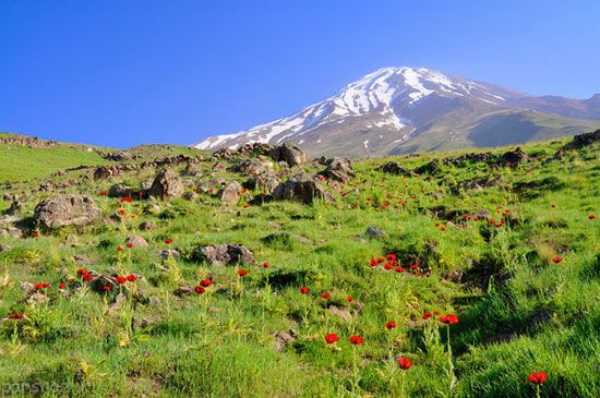 زیبایی های ایران از دید انگلیسی ها +عکس