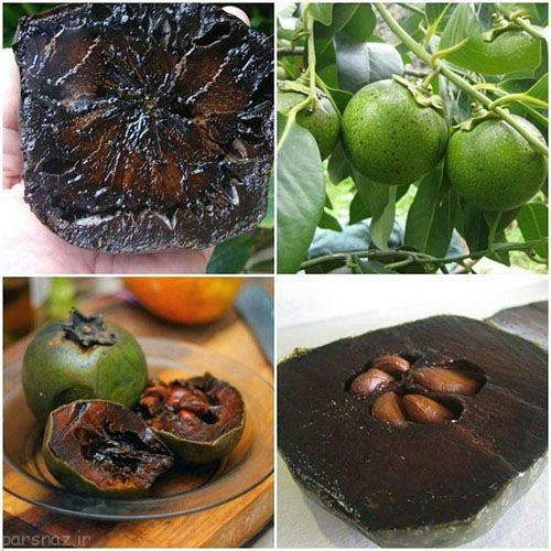 اتفاقات و حقایق عجیب در جهان که باورنکردنی است (9)