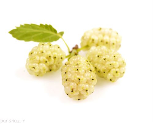 این گیاهان دارویی جلوی پیری را می گیرند