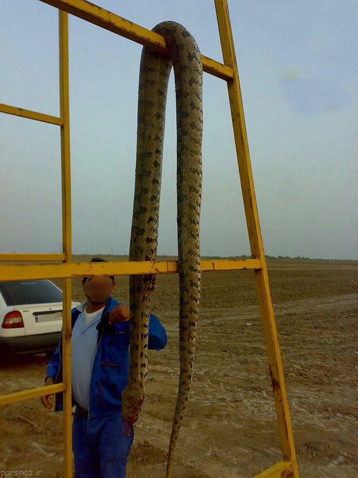 سوژه از عکسهای خنده دار و جالب از همه جا (104)