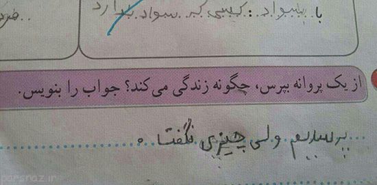 تصاویر خنده دار و جدید از سوژه های جهانی (105)
