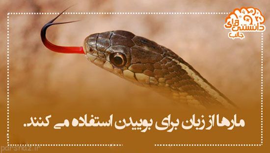 دانستنی های علمی جالب به صورت عکس (96)