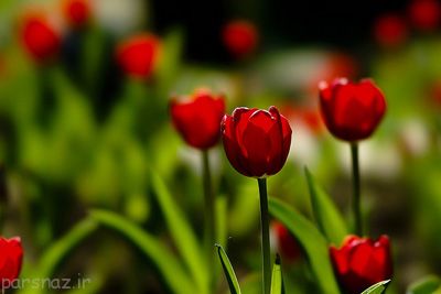 متن های خواندنی و جالب زندگی زیباست (پند آموز)