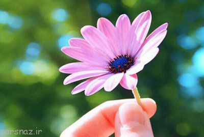 جملات زیبای زندگی برای شما متن های زیبا و آموزنده