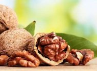 مادران برای هوش جنین خود گردو مصرف کنید