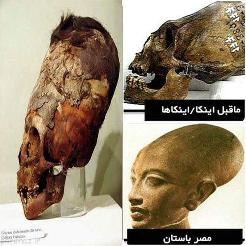 اتفاقات عجیب و جالب علمی در دنیا قسمت (6)