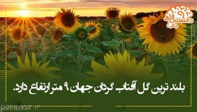 دانستنی های علمی جالب به صورت عکس (96)