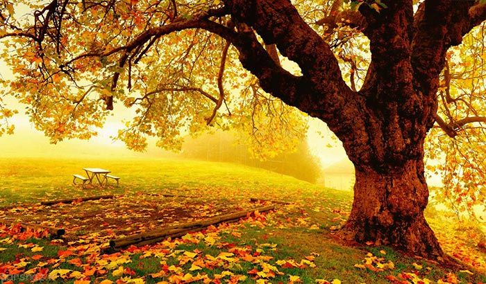 انتهای تابستان و شروع پاییز به روایت عکس