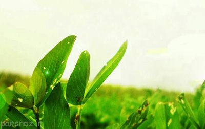 متن های خواندنی و جالب زندگی زیباست (پند آموز)