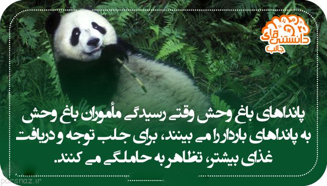 دانستنی های جالب و علمی در قاب عکس