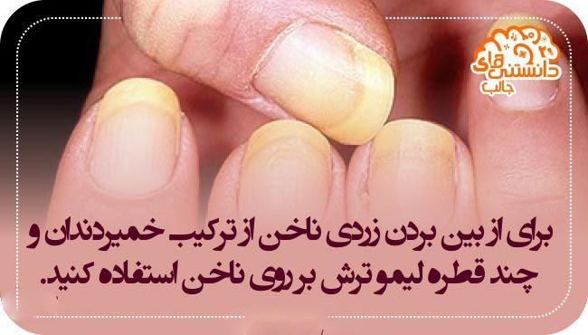 دانستنی های علمی جالب و خواندنی تصویری آبان ماه
