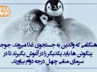 دانستنی های جالب و علمی در قاب عکس