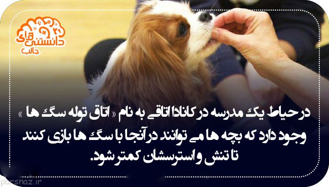 دانستنی های جالب و علمی در قاب عکس