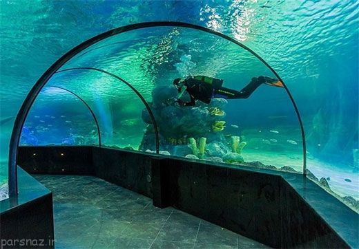 نگاهی به آکواریوم زیبای شهر اصفهان