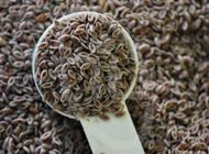 اسفرزه مفید برای دستگاه گوارش