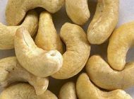 بادام هندی و سلامت قلب و عروق بدن