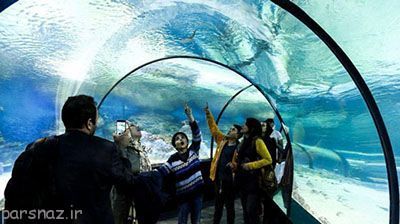 نگاهی به آکواریوم زیبای شهر اصفهان