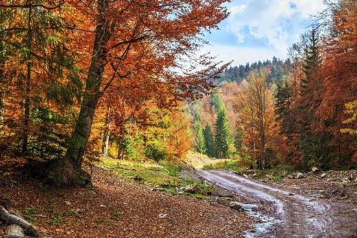 شهرهای زیبای پاییزی جهان را بشناسید