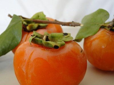 میوه خرمالو درمانگر بیماری ها