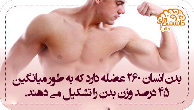 دانستنی های علمی جالب و خواندنی تصویری آبان ماه